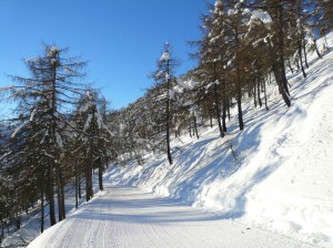 2011-01-01_frabosa031
