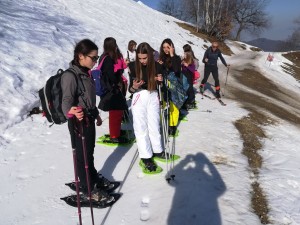 IMG_20190219_104159 
